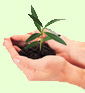 Give a gift of hope