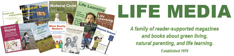 Life Media